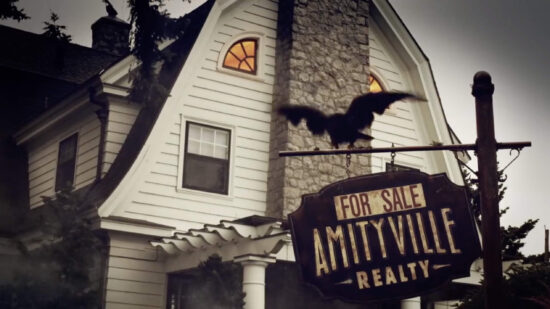 Amityville Realty - FLIR