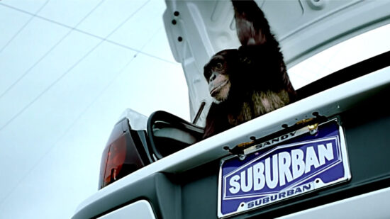 Suburban - Trunk Monkey